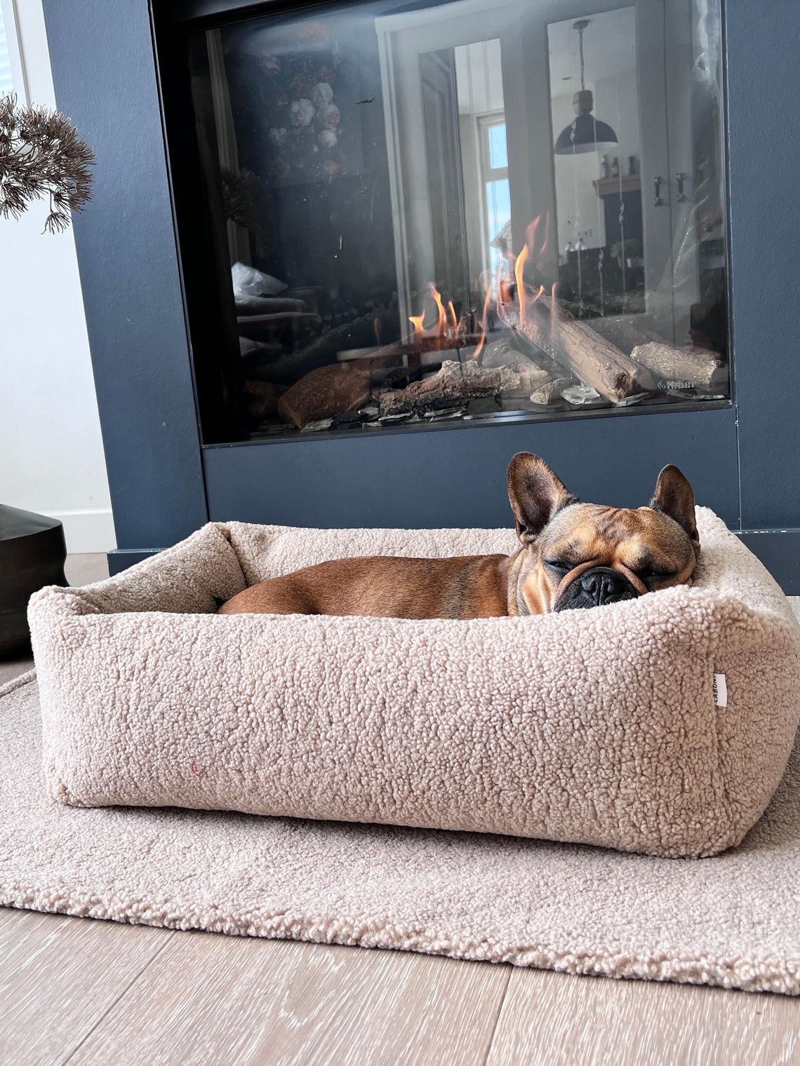 رعاية احترافية